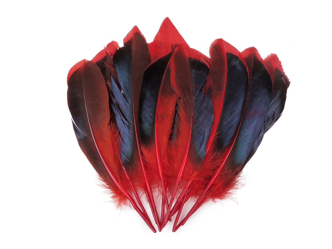 Textillux.sk - produkt Kačacie perie dĺžka 13-15 cm - 1 červená