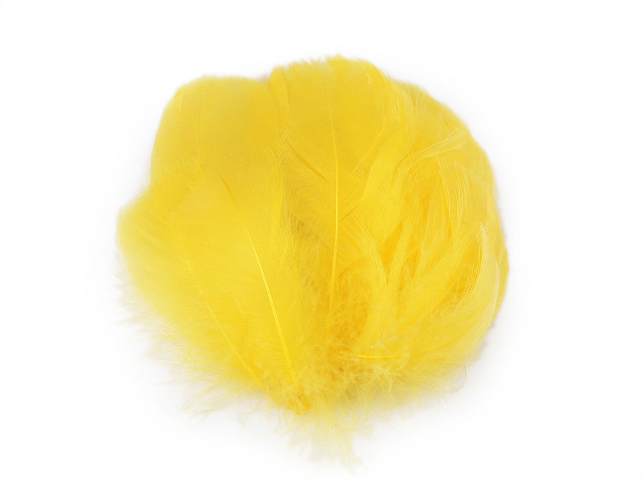 Textillux.sk - produkt Pštrosie perie dĺžka 6-11 cm - 2 žltá  