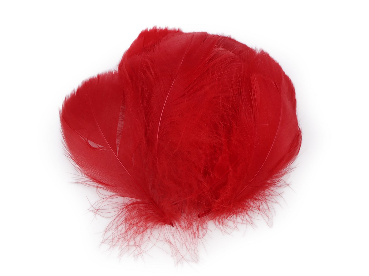 Textillux.sk - produkt Pštrosie perie dĺžka 6-11 cm - 4 červená