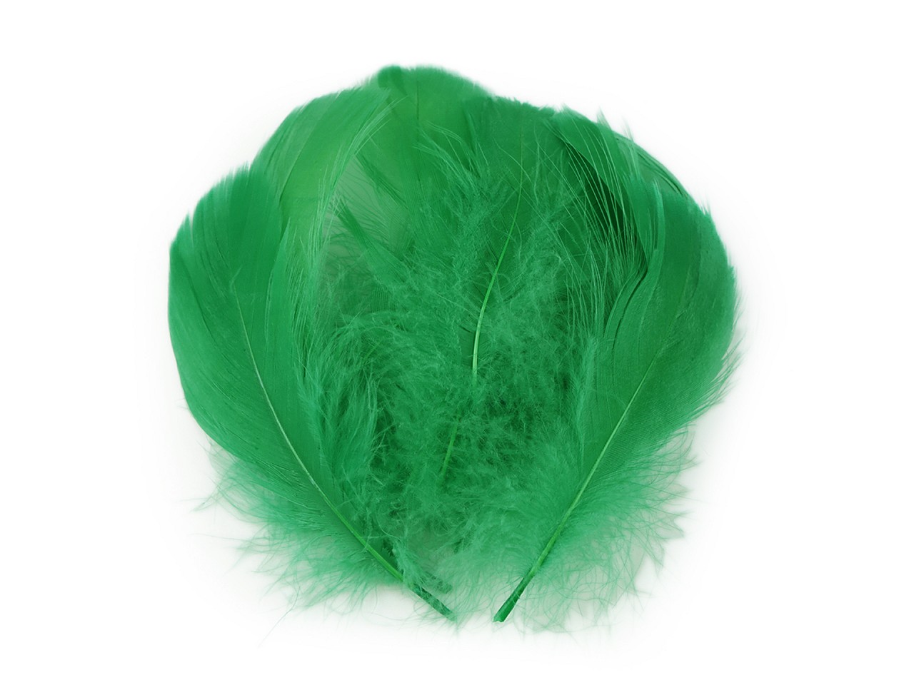 Textillux.sk - produkt Pštrosie perie dĺžka 6-11 cm - 6 zelená pastelová