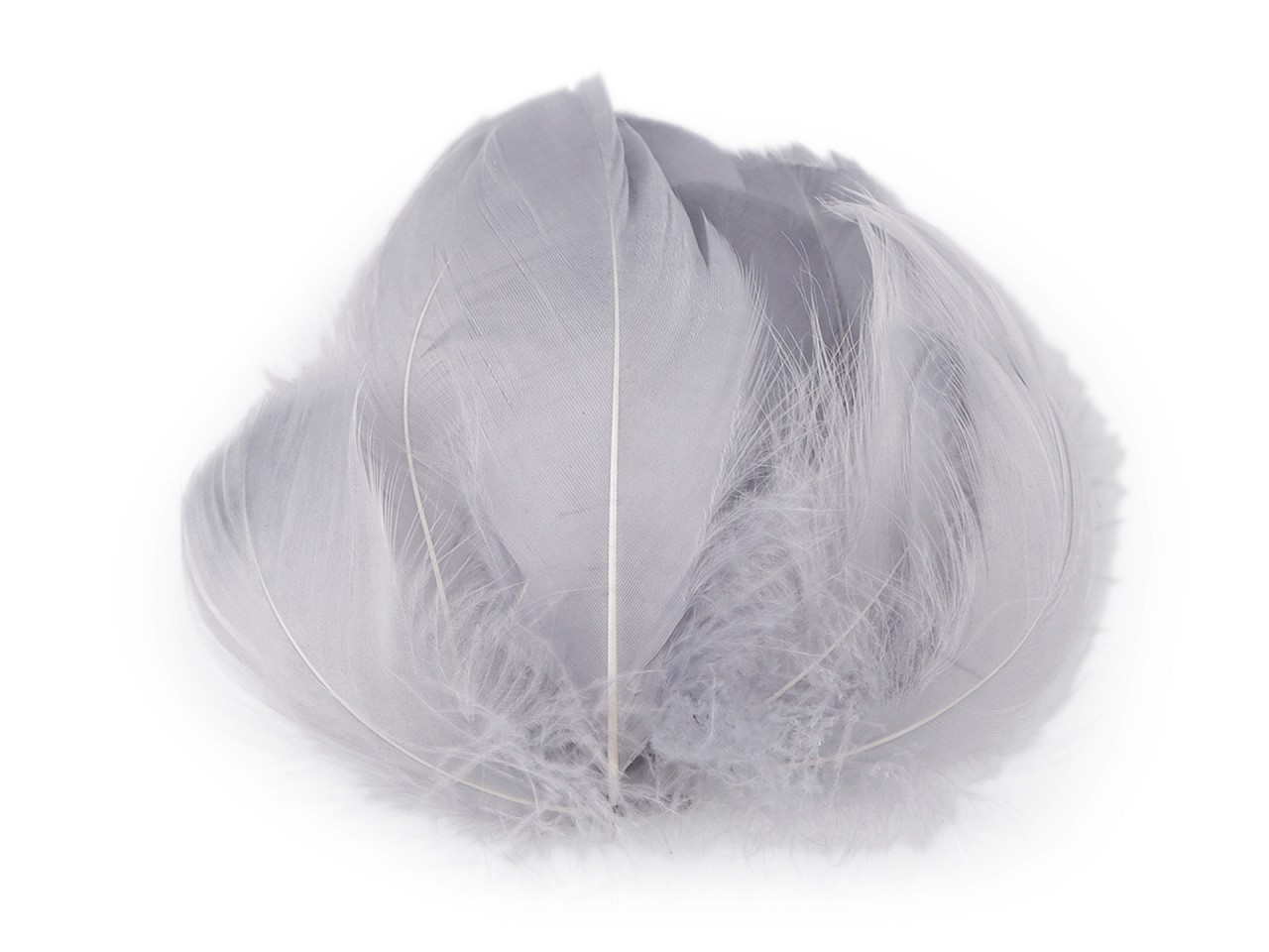 Textillux.sk - produkt Pštrosie perie dĺžka 6-11 cm - 7 šedá svetlá