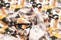 Textillux.sk - produkt Bavlnená látka Digitálna tlač Relaxujúce mačky šírka 150 cm