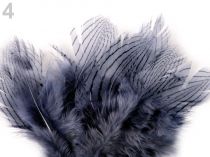 Textillux.sk - produkt Bažantie perie dĺžka 5 - 11 cm - 4 modrá dymová