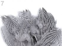 Textillux.sk - produkt Bažantie perie dĺžka 5 - 11 cm - 7 šedá najsvetlejšia