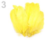 Textillux.sk - produkt Husacie perie dĺžka 16-21 cm - 3 bielo žltá