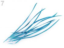 Textillux.sk - produkt Husie perie - osteň / brká dĺžka 15-23 cm - 7 modrá tyrkys.