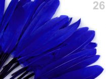 Textillux.sk - produkt Kačacie perie dĺžka 9-14 cm - 26 modrá královská