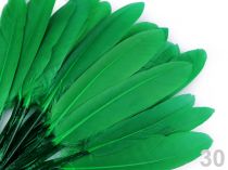 Textillux.sk - produkt Kačacie perie dĺžka 9-14 cm - 30 zelená pastelová