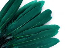 Textillux.sk - produkt Kačacie perie dĺžka 9-14 cm - 38 zelená smaragdová tmavá