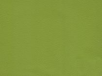 Textillux.sk - produkt Koženka Togo šírka 140 cm - 1131 apple green