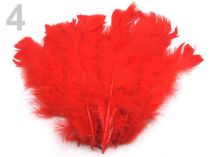 Textillux.sk - produkt Morčacie perie dĺžka 11-17 cm - 4 červená šarlatová
