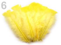 Textillux.sk - produkt Morčacie perie dĺžka 11-17 cm - 6 žltá  