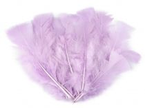 Textillux.sk - produkt Morčacie perie dĺžka 11-17 cm - 32 fialová lila