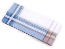 Textillux.sk - produkt Pánska vreckovka česaná 