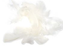 Textillux.sk - produkt Pštrosie perie 5-10 cm - 2- krémové perie