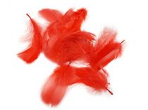 Textillux.sk - produkt Pštrosie perie 5-10 cm - 8- červené perie