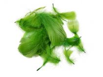 Textillux.sk - produkt Pštrosie perie 5-10 cm - 13- zelené perie