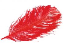 Textillux.sk - produkt Pštrosie perie 60 cm - 18 červená