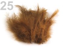 Textillux.sk - produkt Pštrosie perie dĺžka 12-17 cm - 25 hnedá