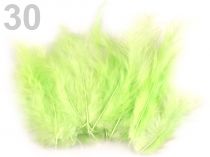Textillux.sk - produkt Pštrosie perie dĺžka 12-17 cm - 30 zelená sv.