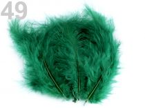 Textillux.sk - produkt Pštrosie perie dĺžka 12-17 cm - 49 zelená