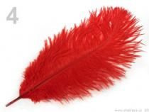 Textillux.sk - produkt Pštrosie perie dĺžka 22-25 cm - 4 červená 