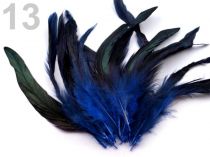 Textillux.sk - produkt Slepačie perie dĺžka 15 cm - 13 modrá královská