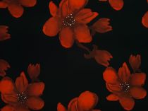 Textillux.sk - produkt Spoločenská látka kvety na stonke 150 cm - 2-462 červený kvet, čierna