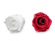 Textillux.sk - produkt Stabilizovaná / večná ruža Ø40 mm
