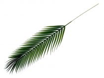 Umelý list palmy