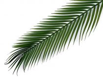 Textillux.sk - produkt Umelý list palmy