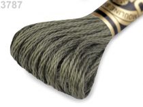 Textillux.sk - produkt Vyšívacia priadza DMC Mouliné Spécial Cotton - 3787 Greener Pastures